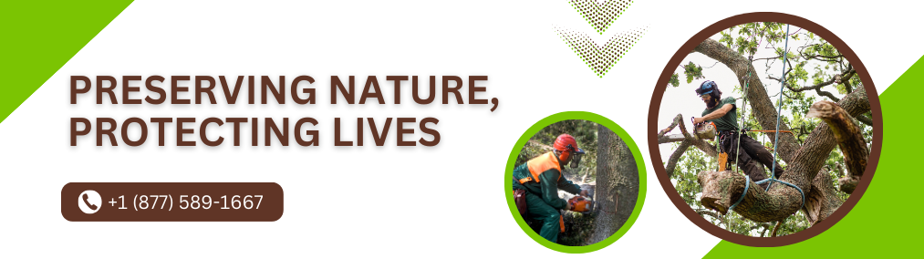 tree cutting service