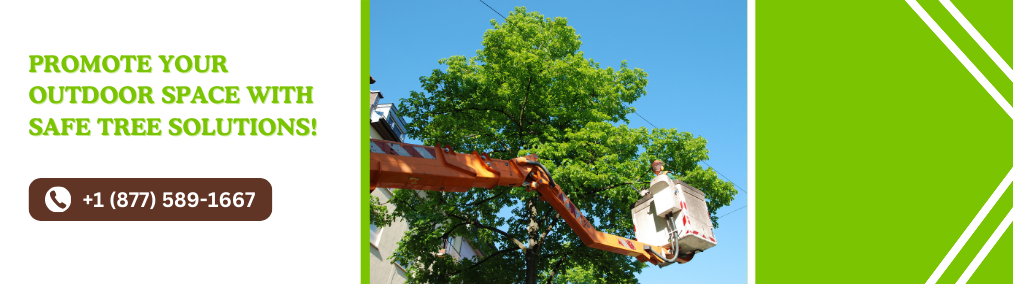 tree service